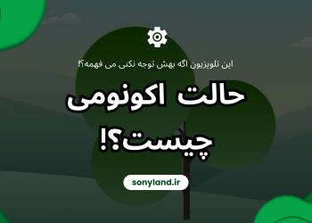 حالت اکونومی